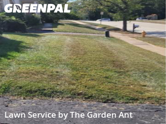 Yard Mowingin Chesterfield,63017,Grass Cut by The Garden Ant , work completed in Dec , 2025