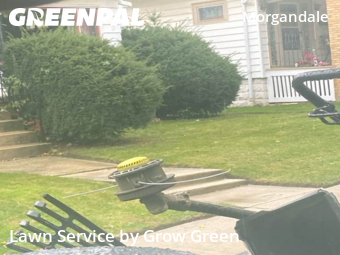 Yard Services in Milwaukee, 53215, Garden Trimming by Grow Green, work completed in Nov , 2025
