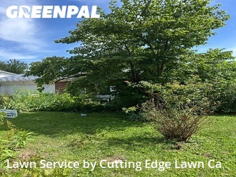 Lawn Mowing Service nearby Florissant, MO, 
