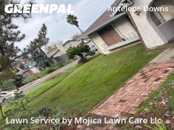grass-care-professionals-in-Folsom-CA