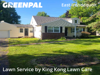 Grass Cut nearby Rochester, NY, 