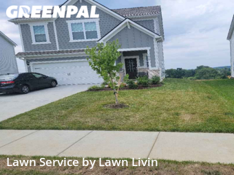 Grass Cutting nearby Smyrna, TN, 