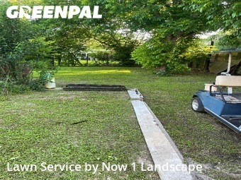Lawn Care nearby Alvin, TX, 