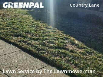 Grass Cut nearby San Jose, CA, 