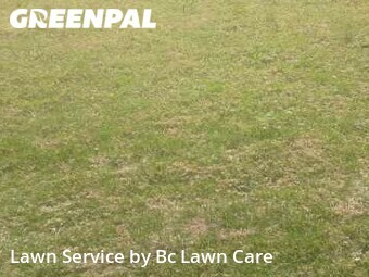 Lawn Maintenance nearby Wake Forest, NC, 