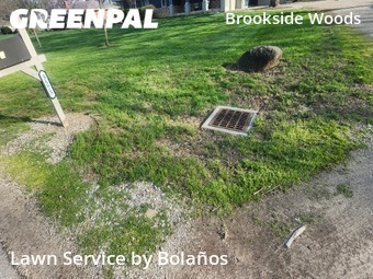 Lawn Mowing nearby Columbus, OH, 