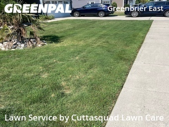 Lawn Care nearby Chesapeake, VA, 