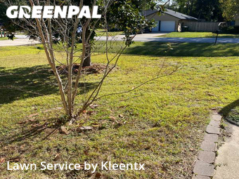 Lawn Mow nearby Spring, TX, 