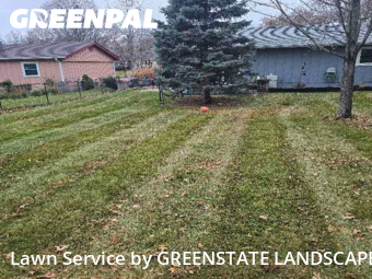 Yard Mowing nearby South Elgin, IL, 