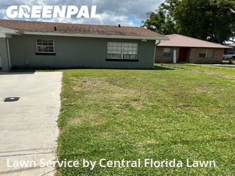 Lawn Mow nearby Winter Haven, FL, 
