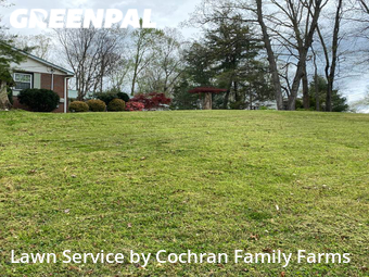 Lawn Cut nearby Oak Ridge, TN, 