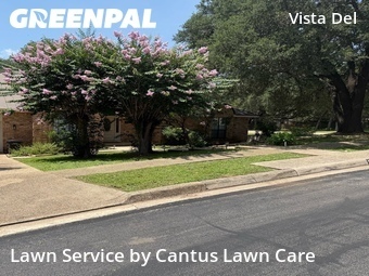 Lawn Cut nearby San Antonio, TX, 