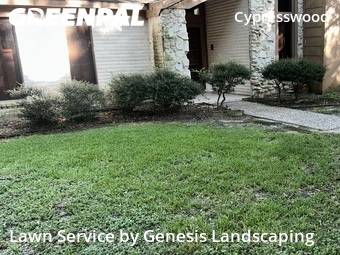Lawn Carein Spring,77388,Lawn Mowing by Genesis Landscaping, work completed in Jun , 2026