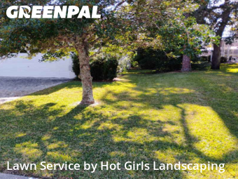 Lawn Cutting nearby Spring Hill, FL, 