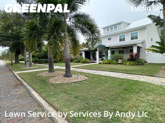 Yard Cutting nearby St. Petersburg, FL, 