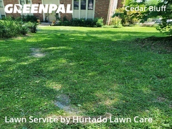 Yard Cutting nearby Knoxville, TN, 