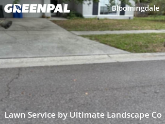 Yard Upkeep in Bloomingdale, 33596, Garden Trimming by Ultimate Landscape Co, work completed in Nov , 2025