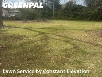 Lawn Cut nearby La Grange, NC, 