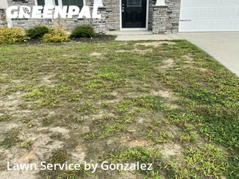 Yard Mowing nearby Clayton, NC, 