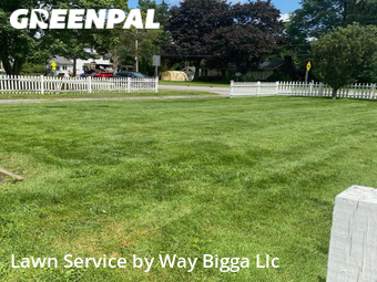 Yard Cutting nearby Rochester, NY, 