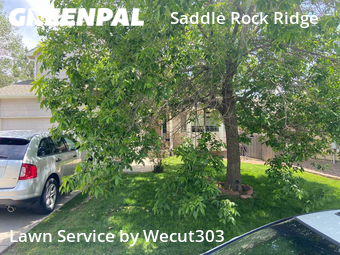 Lawn Cut nearby Aurora, CO, 