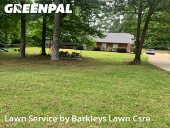 Yard Cutting nearby Fayetteville, GA, 