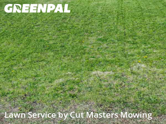 Yard Cutting nearby Rockford, IL, 