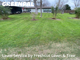 Lawn Mow nearby New Braunfels, TX, 