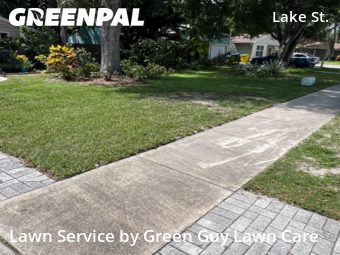 Lawn Cutin Palm Harbor,34684,Lawn Mowing Service by Green Guy Lawn Care, work completed in Nov , 2025