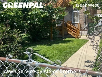 Landscaping Renovation In Chicago,60612,Landscaping Services by Alejos Brothers, work completed in Jul , 2026