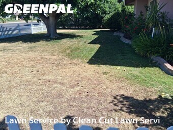 Lawn Mow nearby Fresno, CA, 