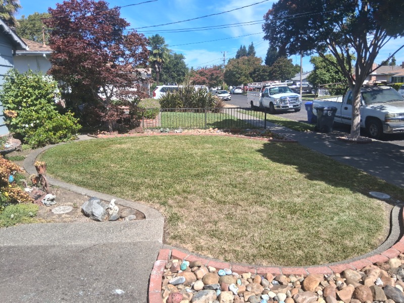 Lawn mowing work by Mychal's Residential in Castro Valley, CA