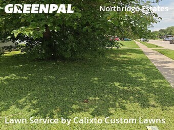 Lawn Care Service nearby Mesquite, TX, 
