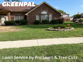 Yard Cutting nearby Grand Prairie, TX, 