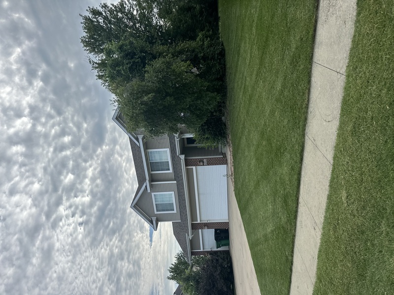 Work Image 2