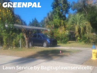 Lawn Mowing Servicein Winter Springs,32708,Grass Cut by Bagituplawnservicellc, work completed in Jan , 2026