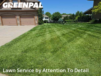 Lawn Cutting nearby Lee's Summit, MO, 