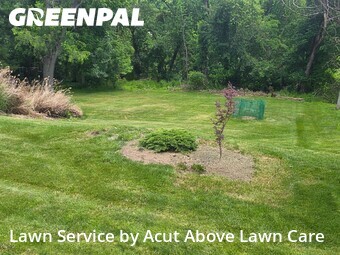 Lawn Cutting nearby Pittsburgh, PA, 