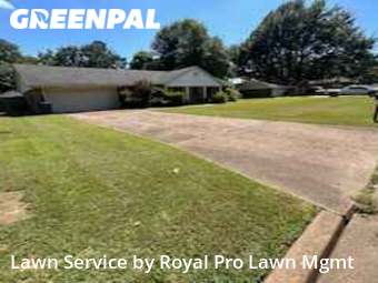 Lawn Cutting nearby Olive Branch, MS, 