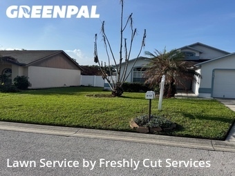 Lawn Service nearby Lakeland, FL, 