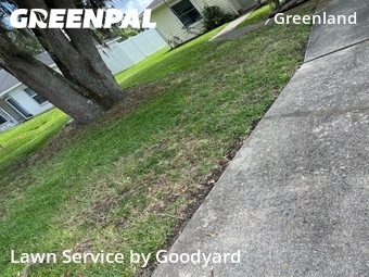 Grass Cutting nearby Jacksonville, FL, 