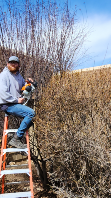 grass-cutting-businesses-in-Kuna-ID