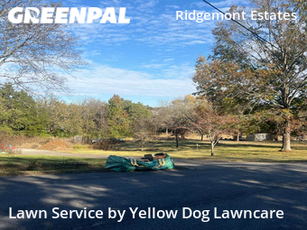 Grass Cutting nearby Goodlettsville, TN, 
