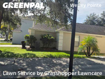 Lawn Mowing nearby Wesley Chapel, FL, 
