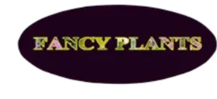 Best Nursery in Savannah Georgia 1