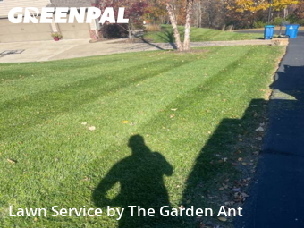 Grass Cutting nearby Wildwood, MO, 