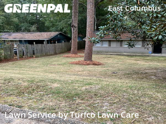 Grass Cutting nearby Columbus, AL, 