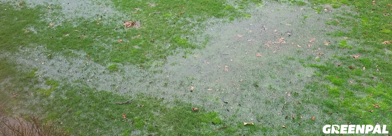 Dealing With Pooling Water: Grading and Soil Fixes Every Landscaper Should Know