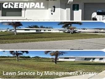 Lawn Cut nearby Punta Gorda, FL, 