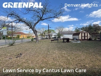 Yard Cutting nearby San Antonio, TX, 